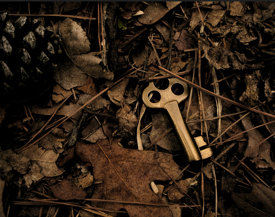 a gold key shines amid a pile of leaves